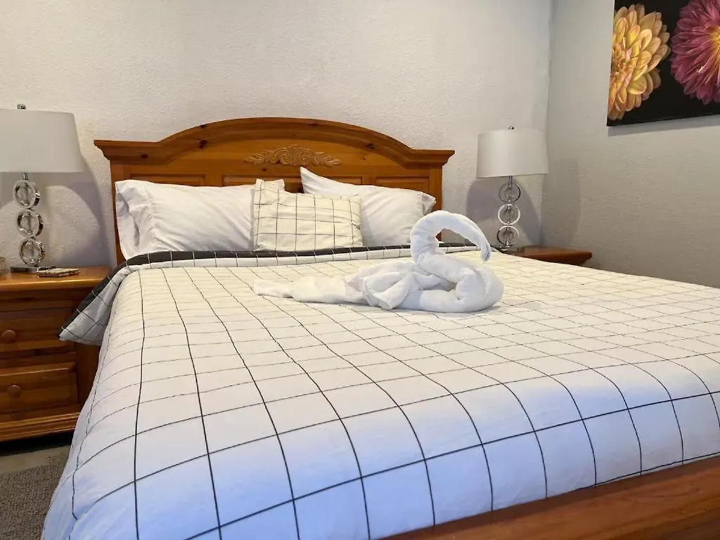 Little Fern & Hidden Nest Apartamento Tampa