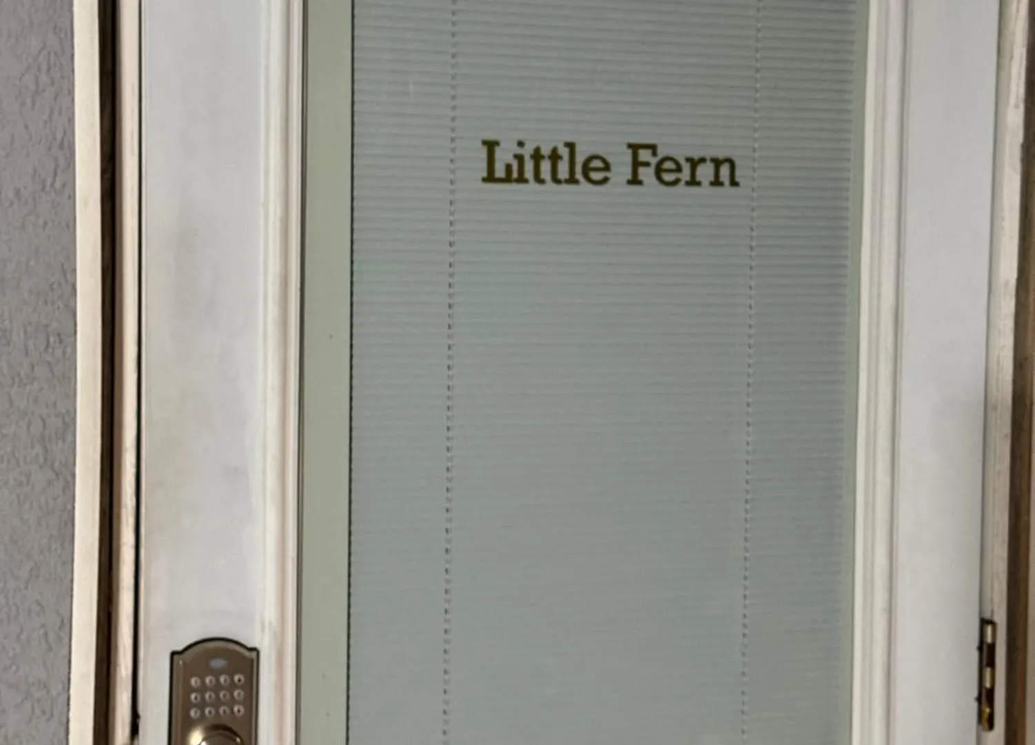 Little Fern & Hidden Nest Apartamento Tampa