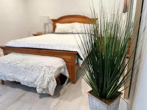 Little Fern & Hidden Nest Apartamento Tampa